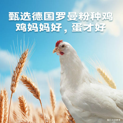 【减醇蛋30枚&12盒周期购】减胆固醇营养蛋30枚/盒电商装 商品图3