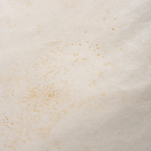 清代杭州匀碧斋制“六尺疋真六吉煮硾宣”（一张） 商品图5