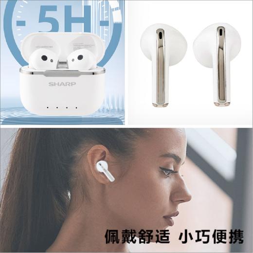 【1件包邮】夏普真无线蓝牙耳机 HP-TW40H/240139  舒适配戴小巧便携超长续航/甘肃/青海/内蒙古/新疆/西藏/宁夏/海南/港澳台不发货 商品图2