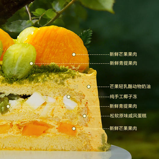 【白羊座】芒果青提椰椰 商品图4