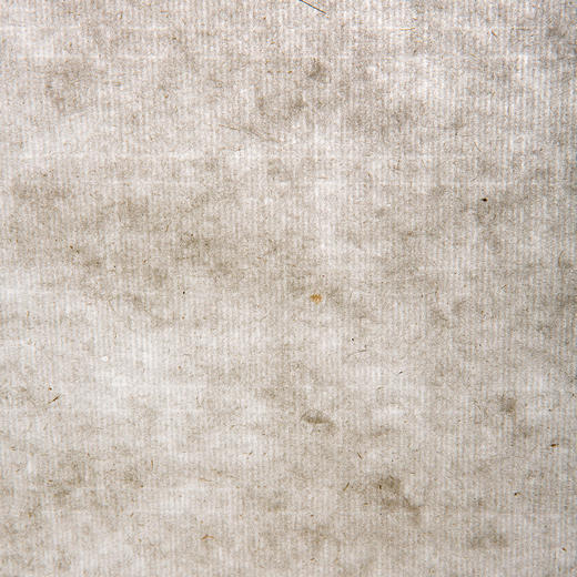 70年代十竹斋制“砑光玉版笺”（一刀56张） 商品图11