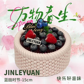 JOY蓝田拾节-15cm