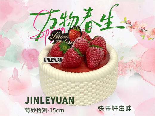 莓妙拾刻-15cm 商品图0