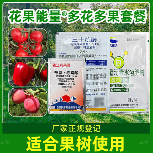 花果能量保花保果套餐 果树蔬果植物生长调节剂 商品图2