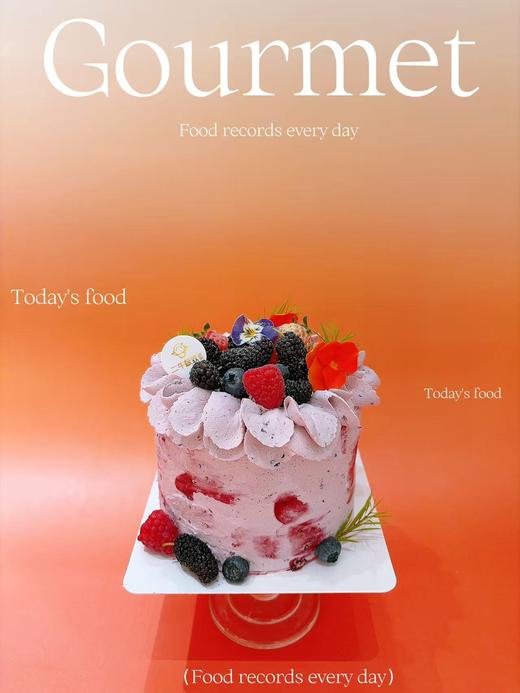 5寸--桑葚 商品图2