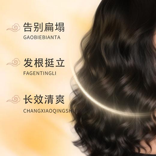 正安优选 碌柚叶生姜何首乌草本植萃洗发水 商品图3