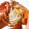 鲜活小龙虾4-6钱 散称（16-25只/500g） 商品缩略图2