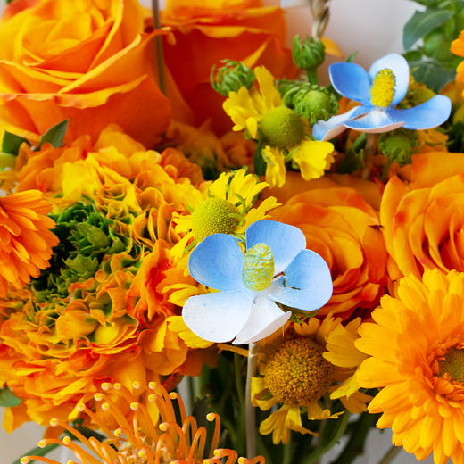 白羊座4款幸运花束｜十二星座随心定制系列 商品图4