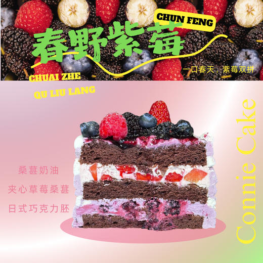 [季节限定]春野紫莓 商品图1