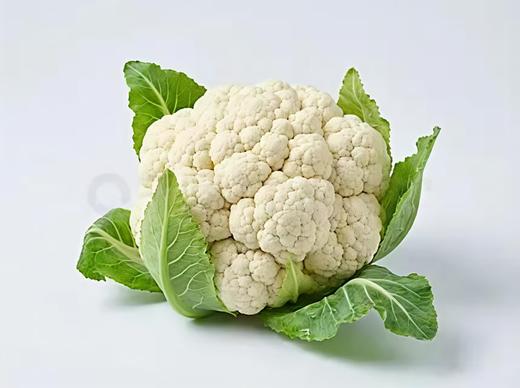 【生鲜预定】白花 洋花菜 商品图0