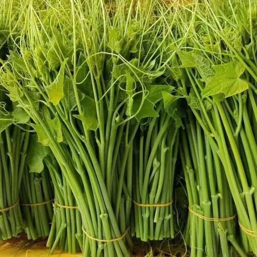 【生鲜预定】洋瓜尖 1kg 商品图1