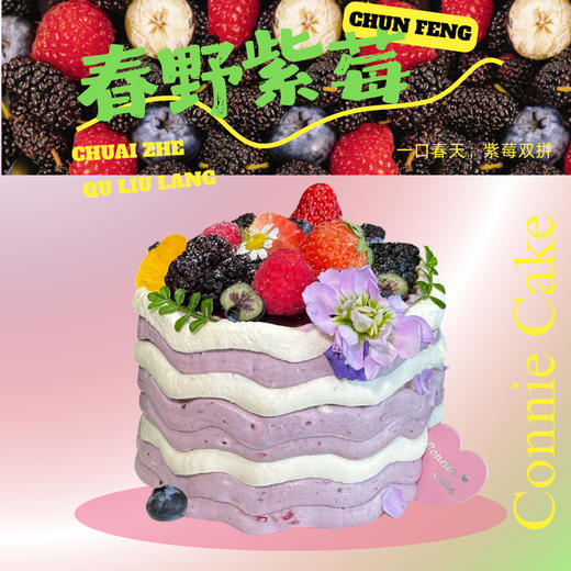 [季节限定]春野紫莓 商品图0