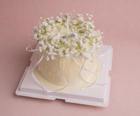 满天欢喜蛋糕（提前3小时预定）