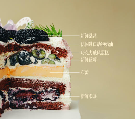 桑葚森林（春野双莓） 商品图7