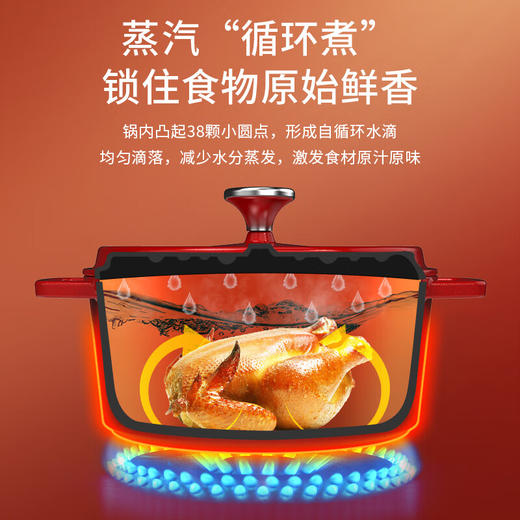 【1件包邮】澳得迈聚能珐琅锅S16 燃气灶、电磁炉、电丝炉、电陶炉、烤箱等多种炉灶通用，开心烹饪不受限/甘肃/青海/内蒙古/新疆/西藏/宁夏/海南/港澳台不发货 商品图3