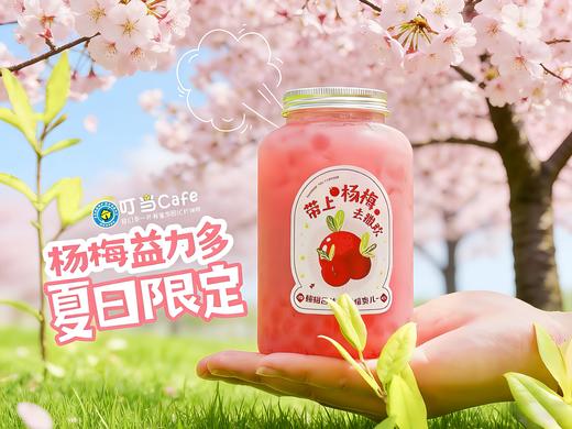 【D】杨梅益力多 商品图0