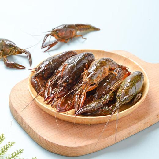 鲜活小龙虾4-6钱 散称（16-25只/500g） 商品图4