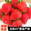 孕妇婴幼儿可以放心吃的有机草莓，631项农残未检出，安全好吃又健康（2斤/箱） 商品缩略图1