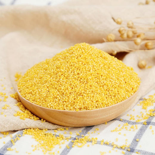 白金堡-古龙小米4.8kg 商品图1