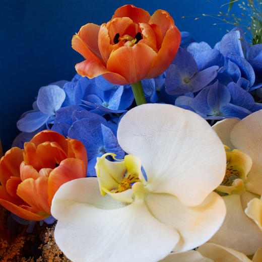 白羊座4款幸运花束｜十二星座随心定制系列 商品图5