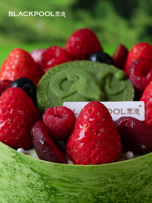 白羊座·春野 商品图3