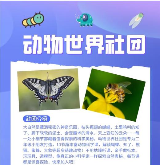 清华附中-动物世界社团 商品图0