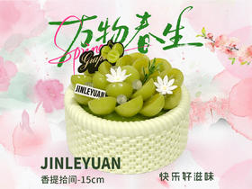 JOY香提拾间-15cm