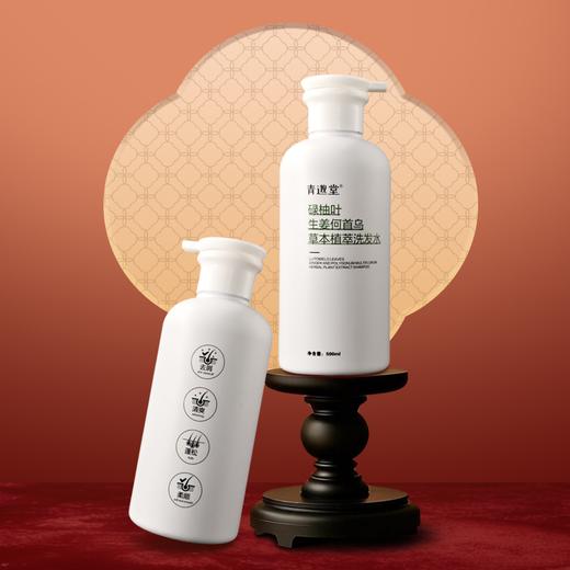 正安优选 碌柚叶生姜何首乌草本植萃洗发水 商品图4