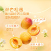 【自提】M 屈臣氏 碧泉甜杏茉莉绿茶果汁茶饮料 250mL*20 商品缩略图1