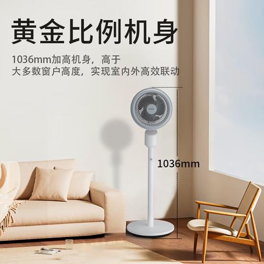 西点8寸空气循环扇 XD-1837FD 商品图2