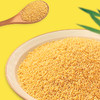 白金堡-古龙小米4.8kg 商品缩略图3