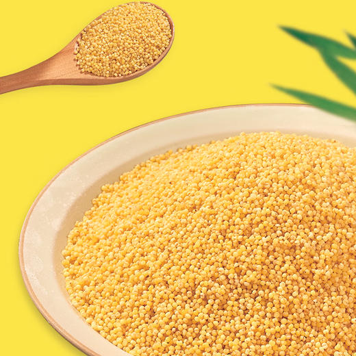 白金堡-古龙小米4.8kg 商品图3