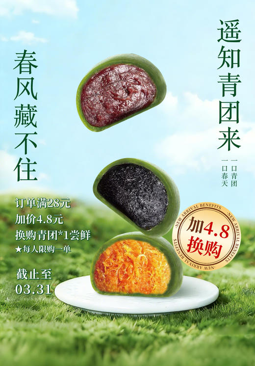 纯手工自制青团（单个装） 商品图0