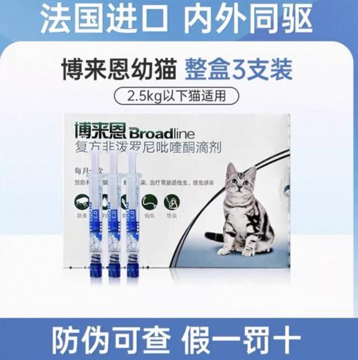 猫 博来恩S 一盒 27年 商品图0