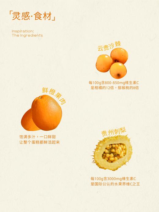 【春日热销】超级维他命C 身体和心情都喜欢 商品图2
