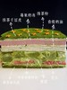春日限定抹茶星星千层（需要提前一天预定） 商品缩略图3