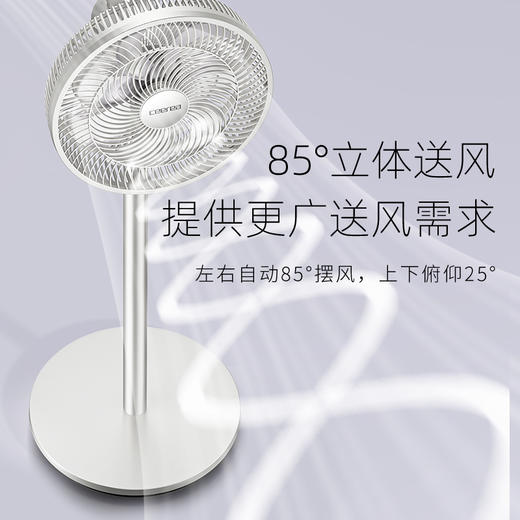 西丽 落地扇   FS-J0230A 商品图1