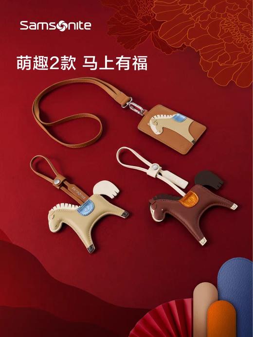 新秀丽TRAVEL ESSENTIALS系列马年卡包HC1*171 商品图2