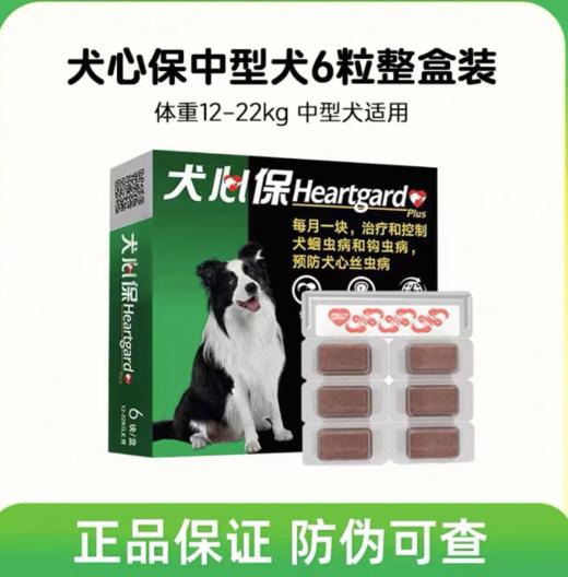 犬心保 中号 一盒 27年 商品图0