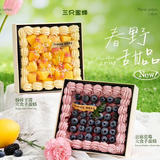 【春日下午茶】方盒蛋糕 商品图0