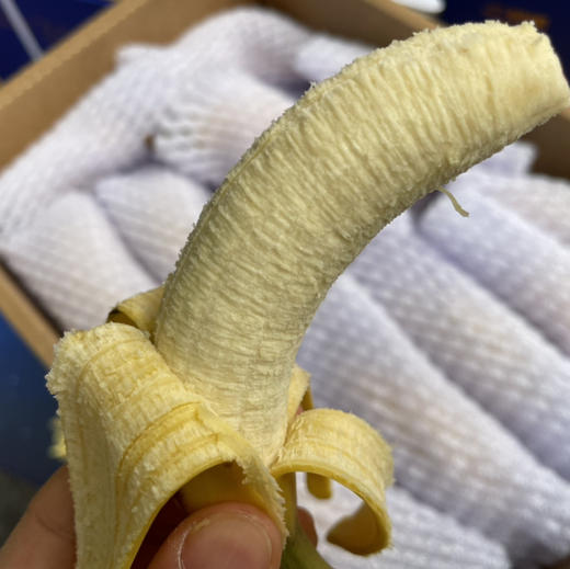 佳丽香蕉 商品图1