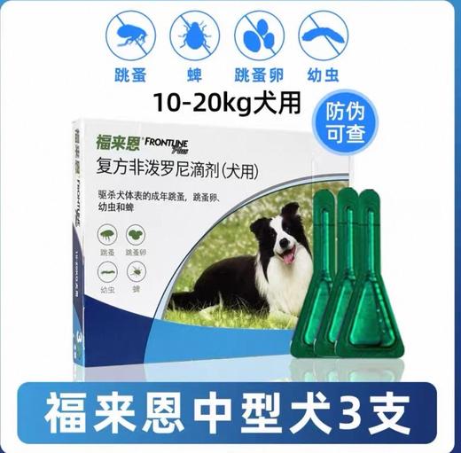 犬 福来恩 中号 一盒 27年 商品图0