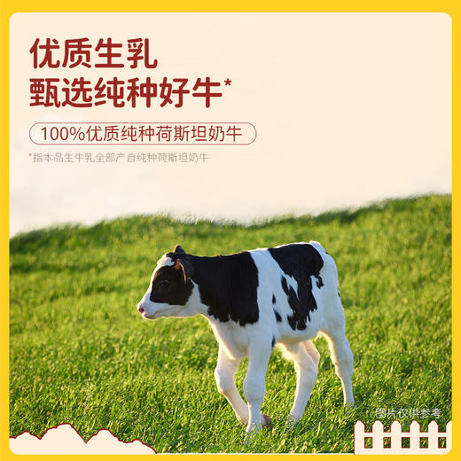 【分仓直发包邮】北海牧场特浓牛乳纯牛奶200ml*12盒 商品图2