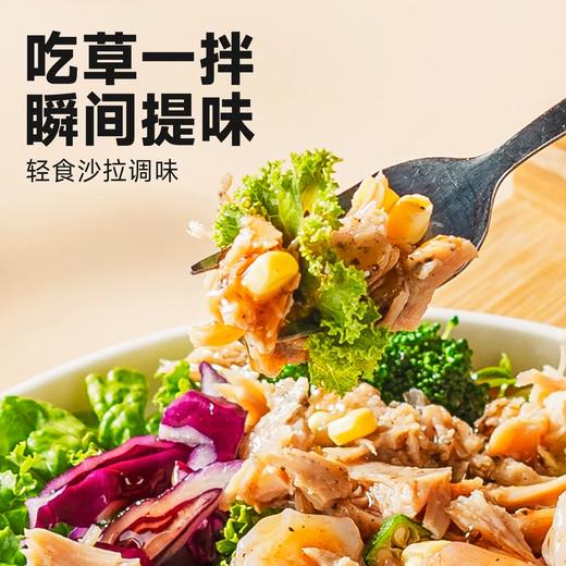 【0脂油醋汁】舌里0脂油醋汁轻食沙拉酱蔬菜水果凉拌汁凉拌调料 商品图3