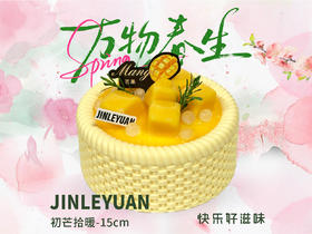 JOY初芒拾暖-15cm