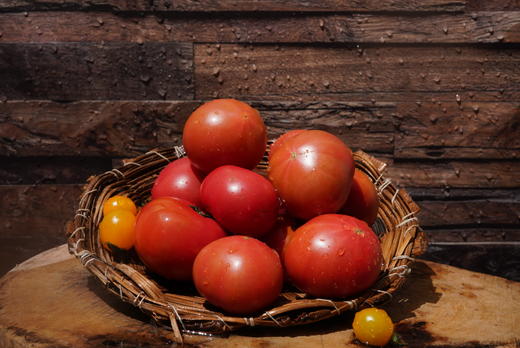 有机虎眼甜柿1.5KG装/箱（商） 商品图4