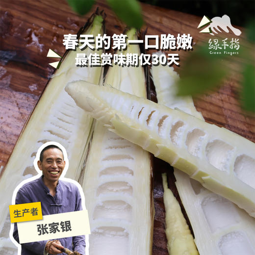 生态雷竹笋 | 合作生产* Ecological Thunder Bamboo Shoots | Coproduction 商品图0