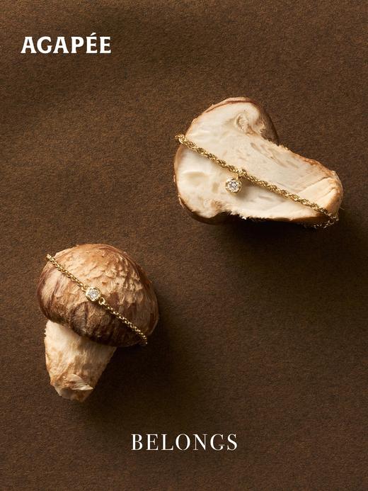 北京仓｜Agapee-ADA-金色 不规则 钻石 吊坠 项链［法国设计师］ 商品图2