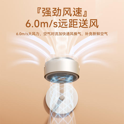 西丽 循环扇   FX-Y0228AU 商品图2