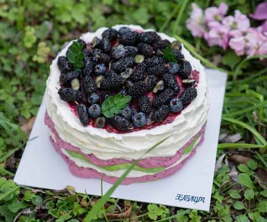 【春山叠色】手工熬制桑葚酱+应季桑葚+血糯米+可可戚风胚（提前一天预定） 商品图1